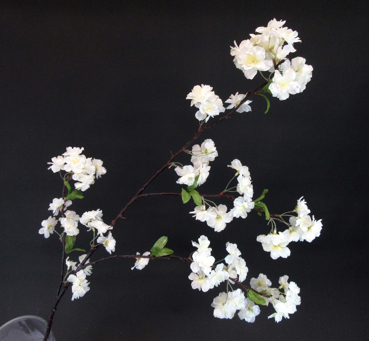 HCFL5641 - Long Stem White Cherry Blossom