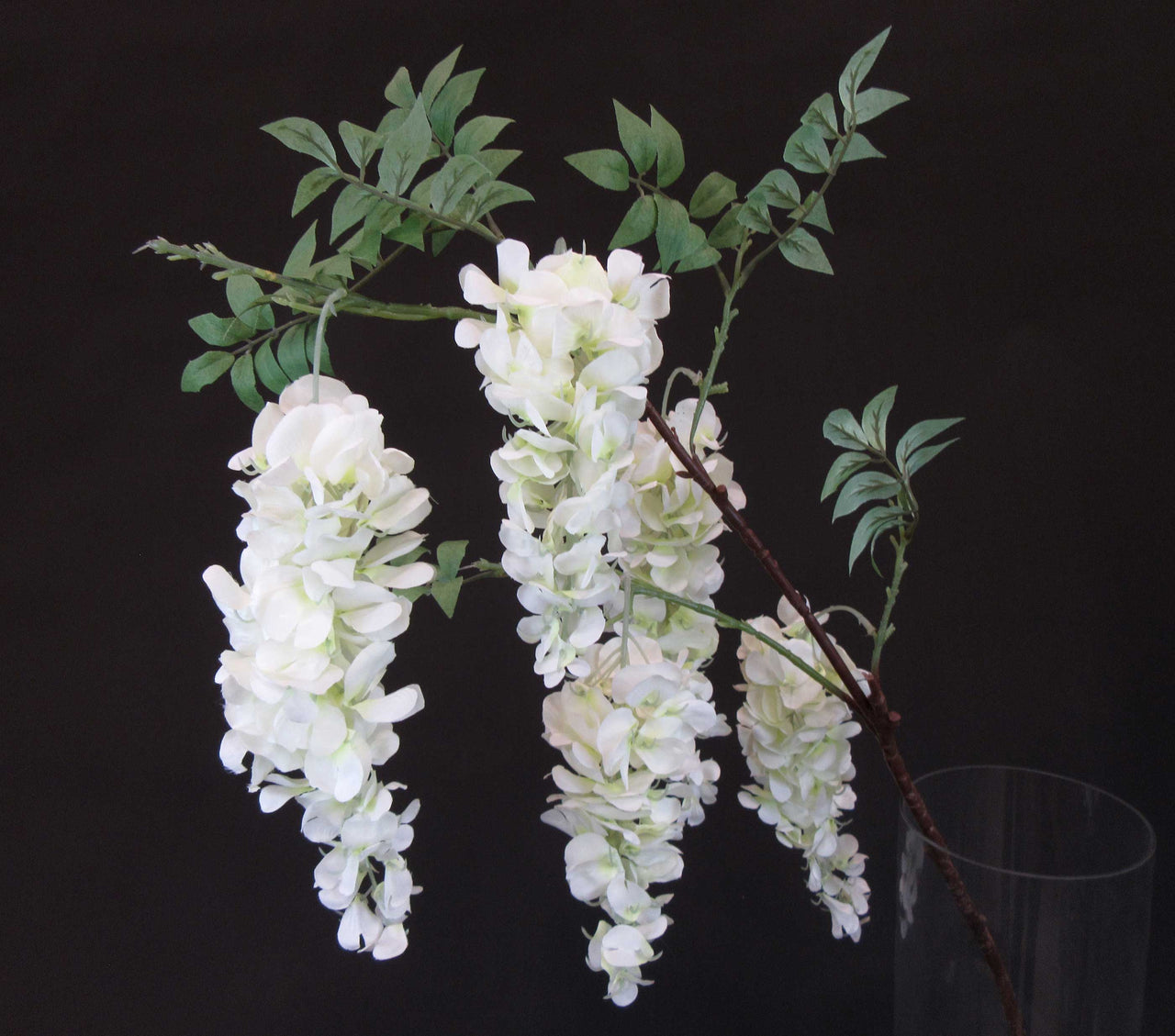 HCFL5643 - Long Stem 5 Bud White Wisteria