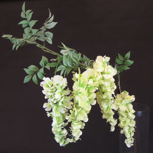 HCFL5645 - Long Stem 5 Bud Green Wisteria