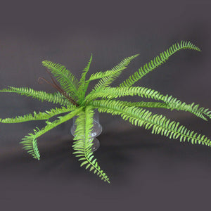 HCFL5770 - Green Fern
