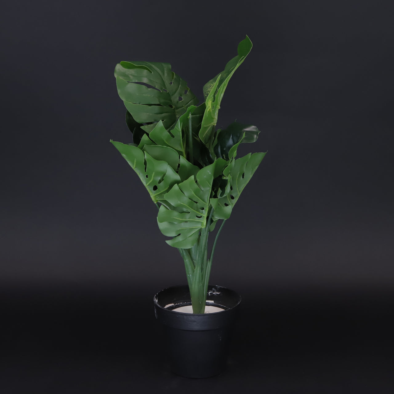 HCFL5794 - Green Leaf Pot