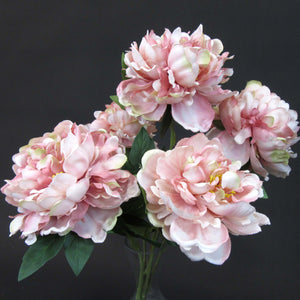 HCFL5814 - Peach Frilly Peony Bouquet