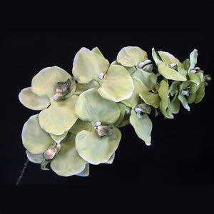 HCFL5819 - Lime Double Orchid
