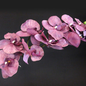 HCFL5820 - Sterling Silver Double Orchid