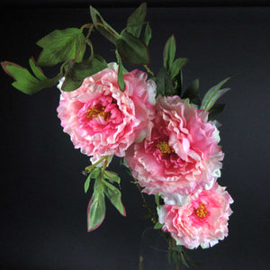 HCFL5821 - Pink LS Peony Bouquet