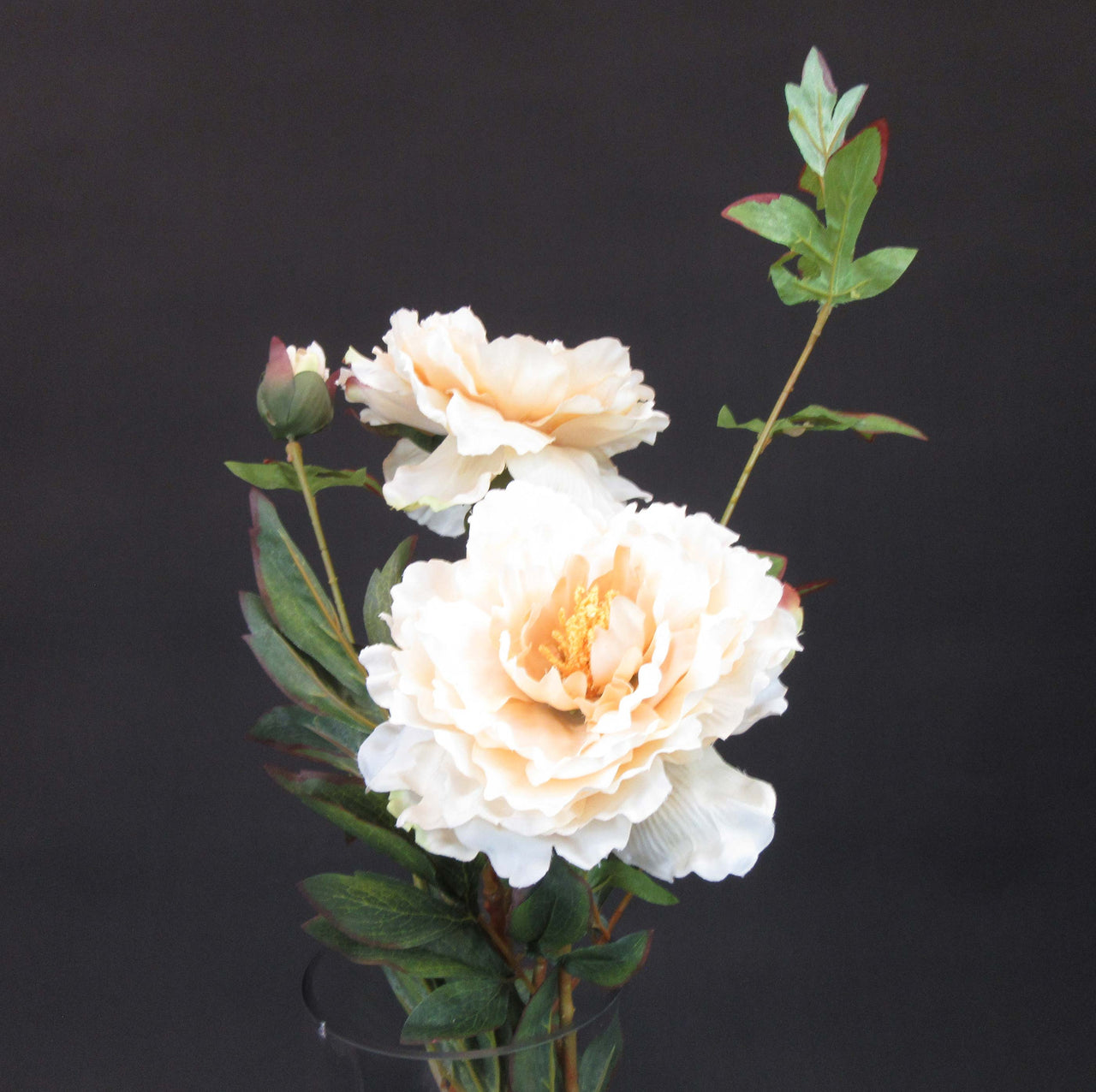 HCFL5822 - Champagne LS Med Peony Bouquet