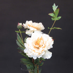 HCFL5822 - Champagne LS Med Peony Bouquet