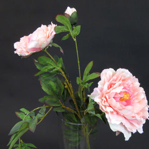 HCFL5823 - Peach LS Med Peony Bouquet