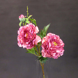 HCFL5824 - Pink LS Med Peony Bouquet
