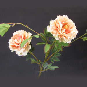 HCFL5826 - Salmon LS Med Peony Bouquet