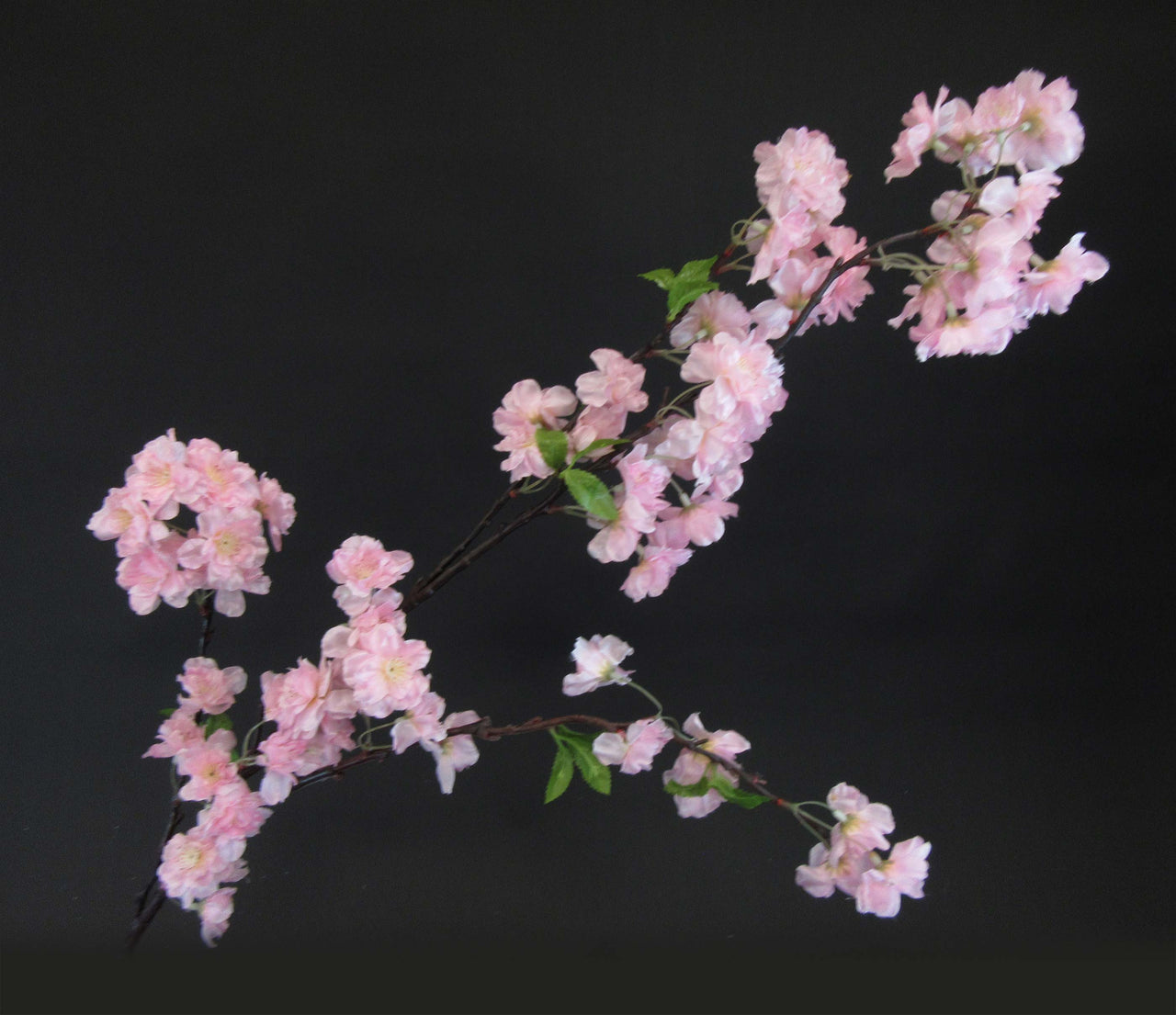 HCFL5835 - Long Stem Pink Cherry Blossom