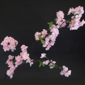 HCFL5835 - Long Stem Pink Cherry Blossom