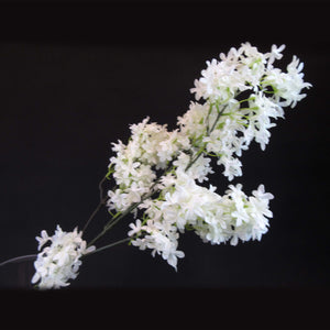 HCFL5836 - White Leafy LS Cherry Blossomm
