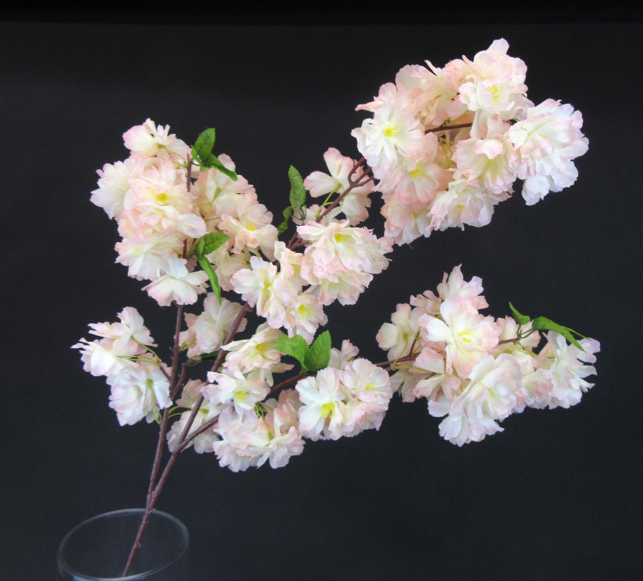 HCFL5840 - Blush LS Fluffy Cherry Blossom