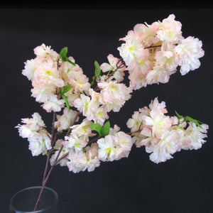 HCFL5840 - Blush LS Fluffy Cherry Blossom