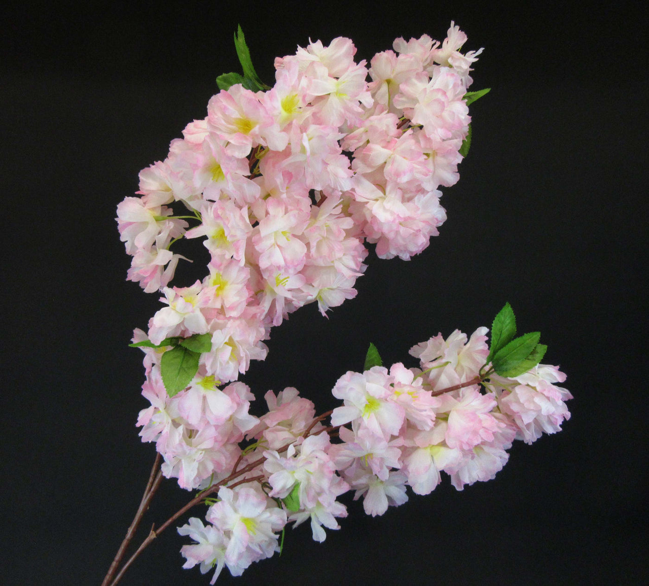 HCFL5841 - Pink LS Fluffy Cherry Blossom