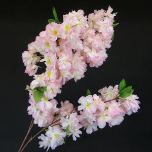 HCFL5841 - Pink LS Fluffy Cherry Blossom