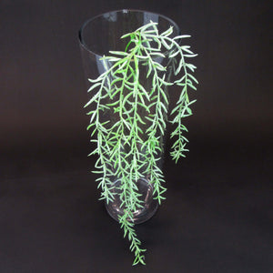 HCFL5843 - Long Stem Grean Tiny Leaf
