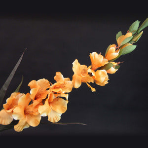 HCFL5847 - Long Stem Orange Gladiola