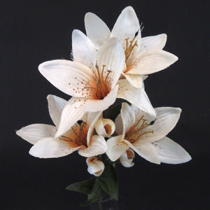 HCFL5853 - Cream Long Stem S Lily