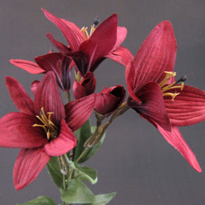HCFL5854 - Burgundy Long Stem S Lily