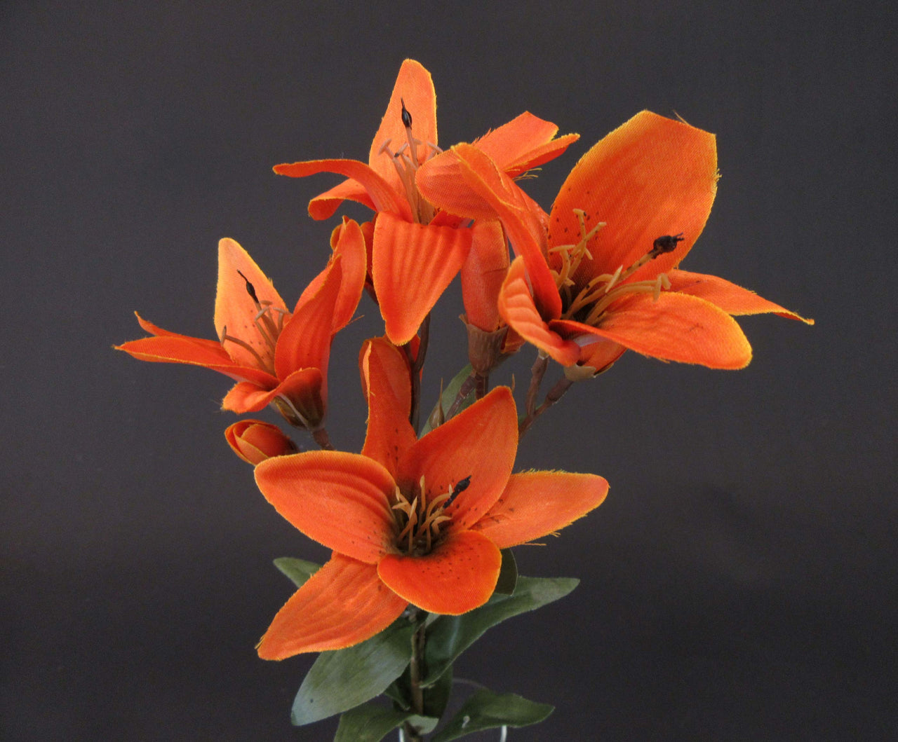 HCFL5855 - Rust Long Stem S Lily
