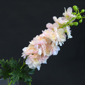 HCFL5859 - Pink Long Stem Delphinium