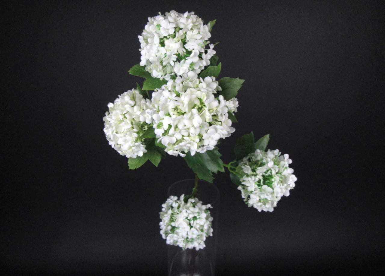 HCFL5861 - White LS Pincushion Hydrangea