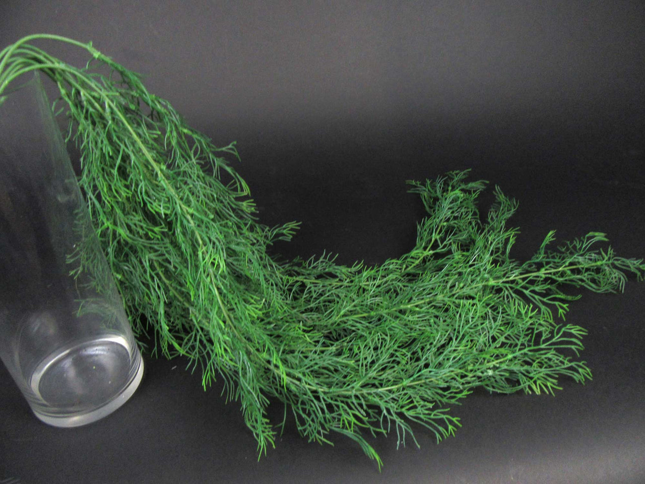 HCFL5865 - Hanging Green Fern