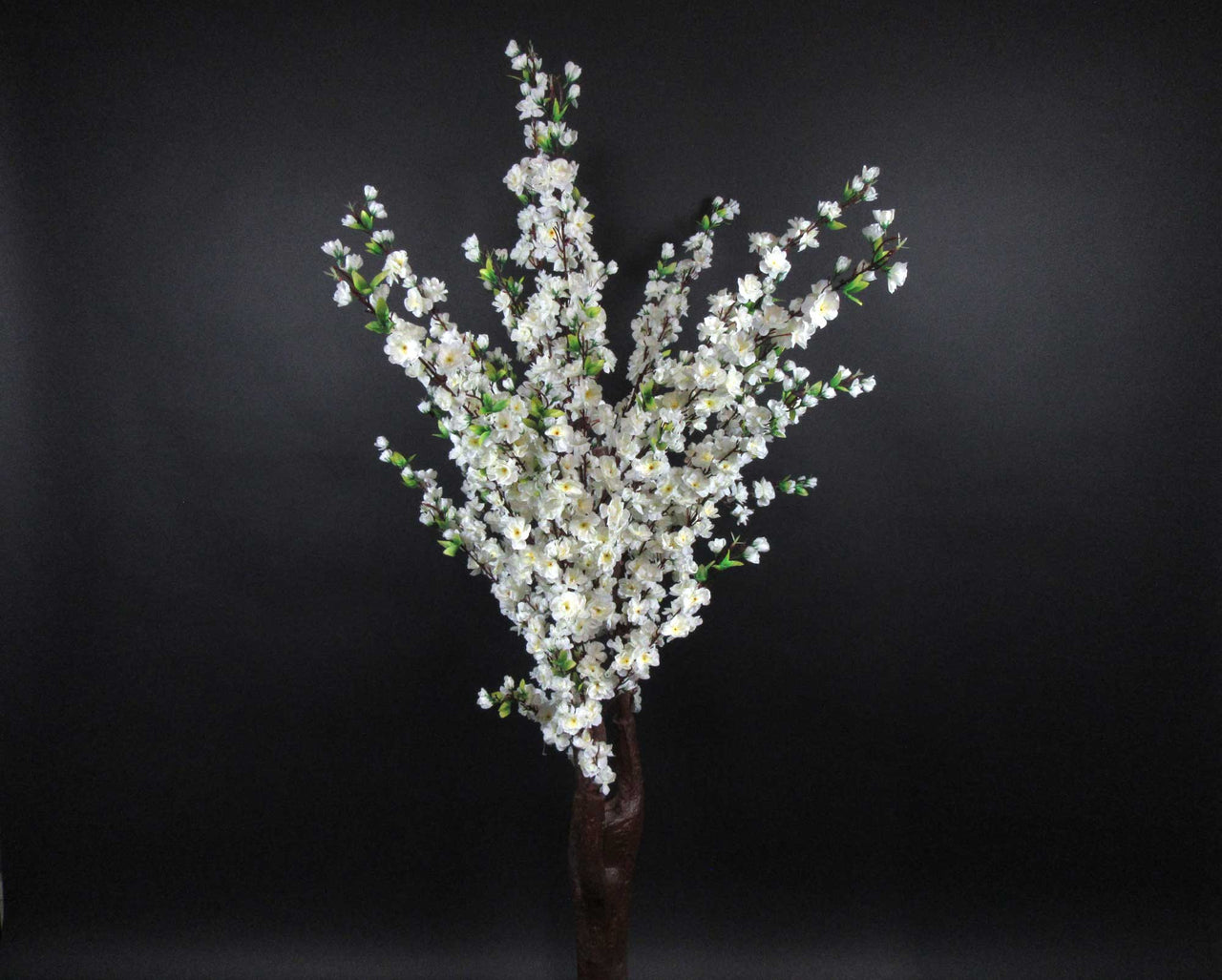 HCFL5866 - White Cherry Blossom Tree - 6'