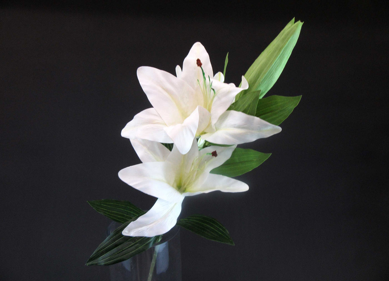 HCFL5897 - White Long Stem Triple Lily