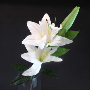 HCFL5897 - White Long Stem Triple Lily