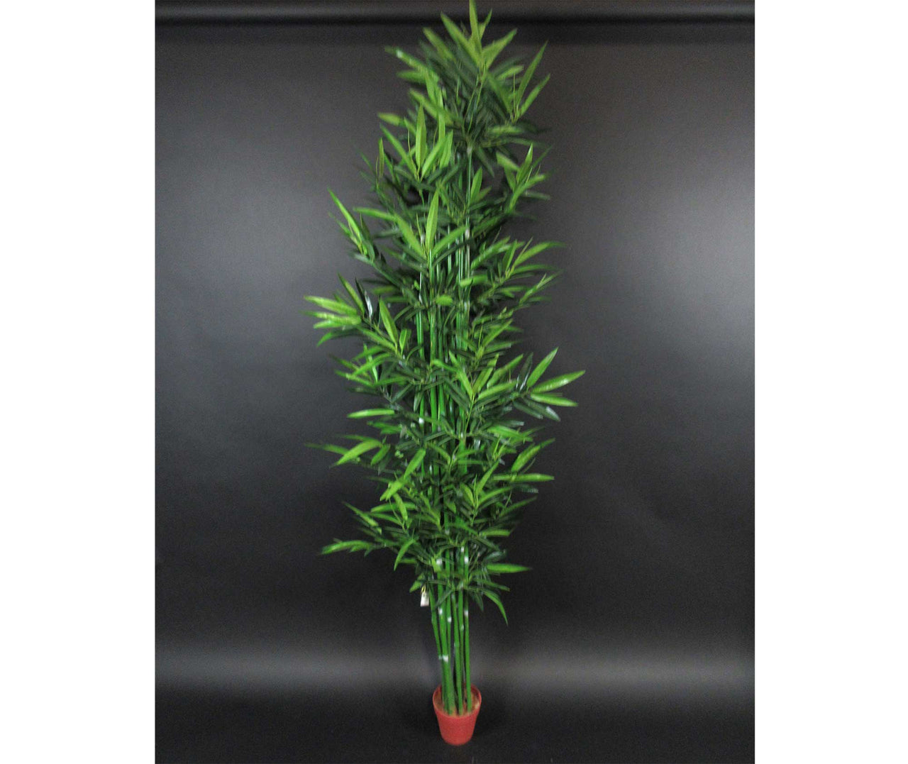 HCFL5920 - Round Bamboo Tree