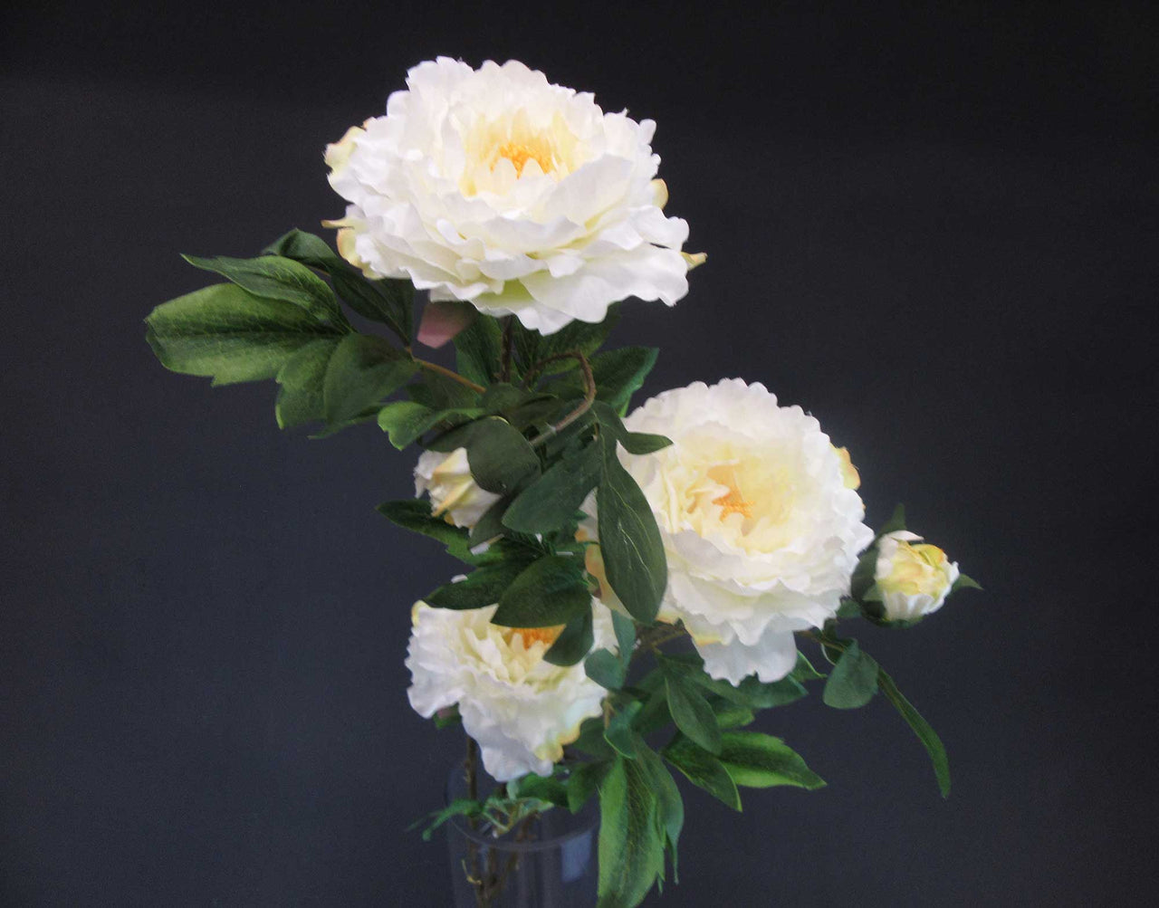 HCFL5925 - Cream LS Med Peony Bouquet