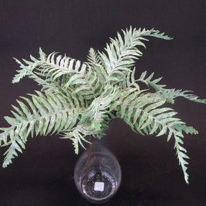 HCFL5931 - Frosted Fern