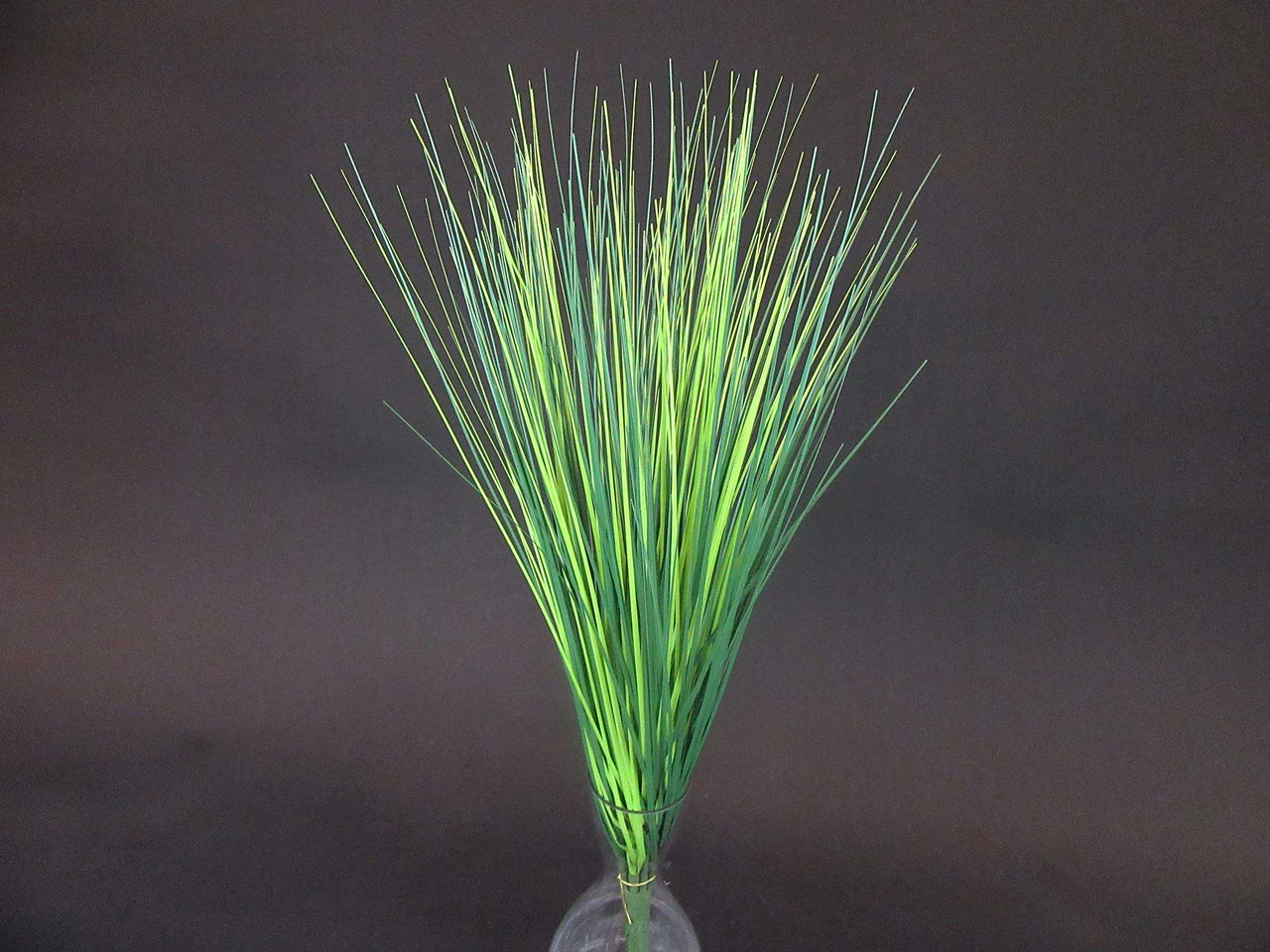 HCFL5934 - Veregated Grass