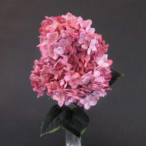 HCFL5996 - Mauve Cherry Blossom Hydra Bouquet