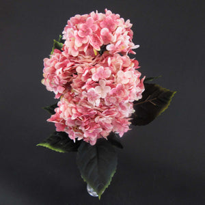 HCFL5997 - Peach Cherry Blossom Hydra Bouquet\