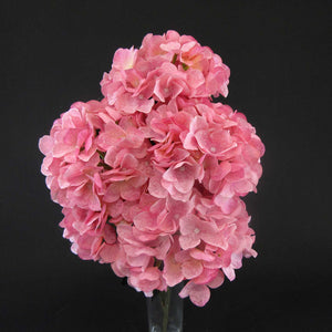 HCFL6001 - Pink Cherry Blossom Hydra Bouquet