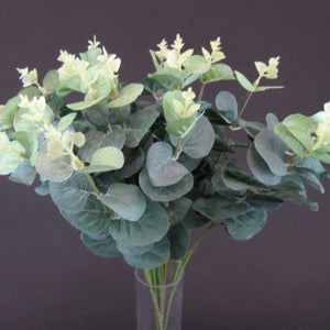 HCFL6004 - Two Tone Eucalyptus