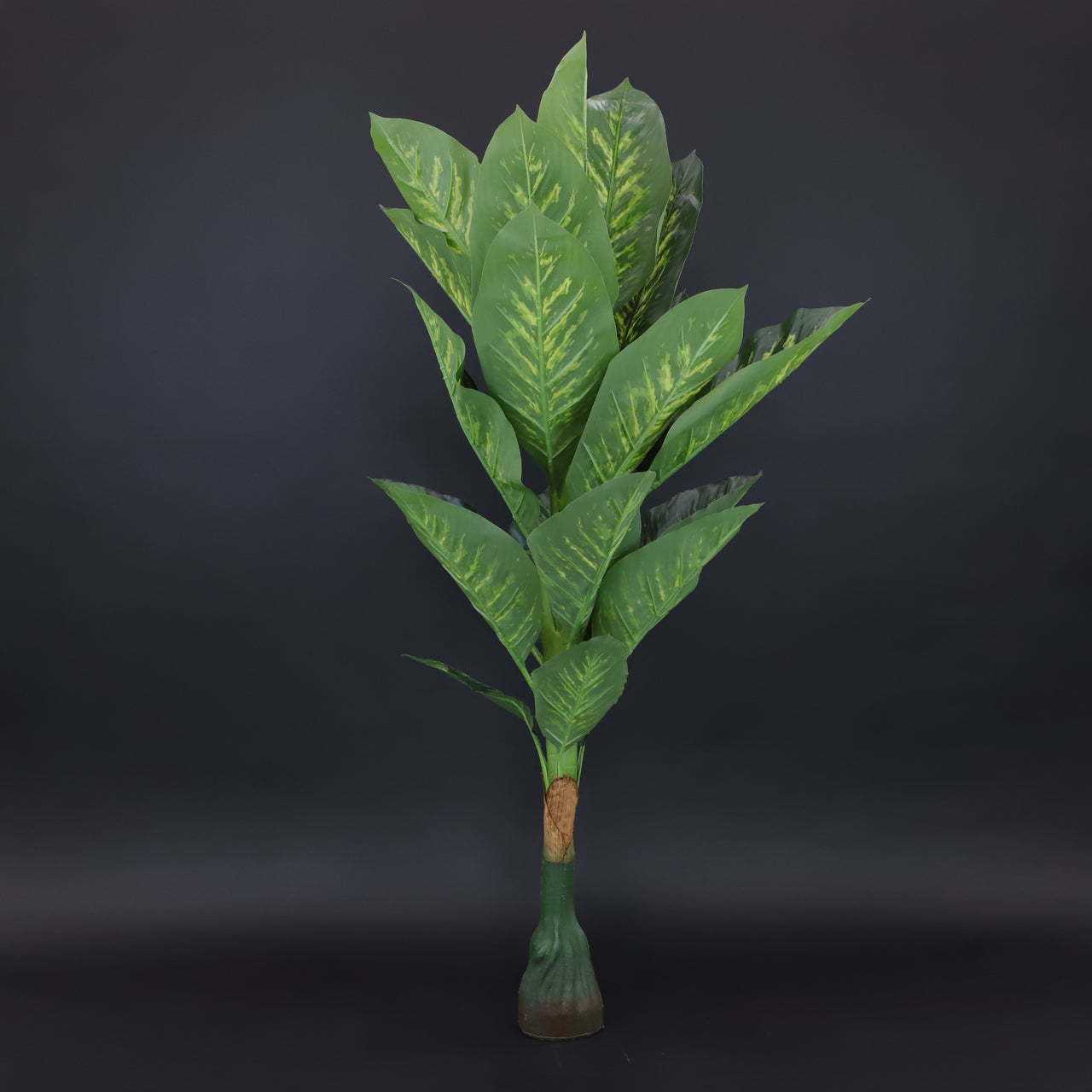 HCFL6036 - Flat Leaf Tree