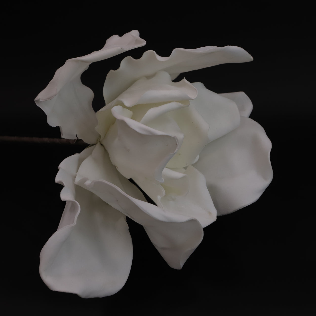 HCFL6063 - Elegant White Jumbo Flower