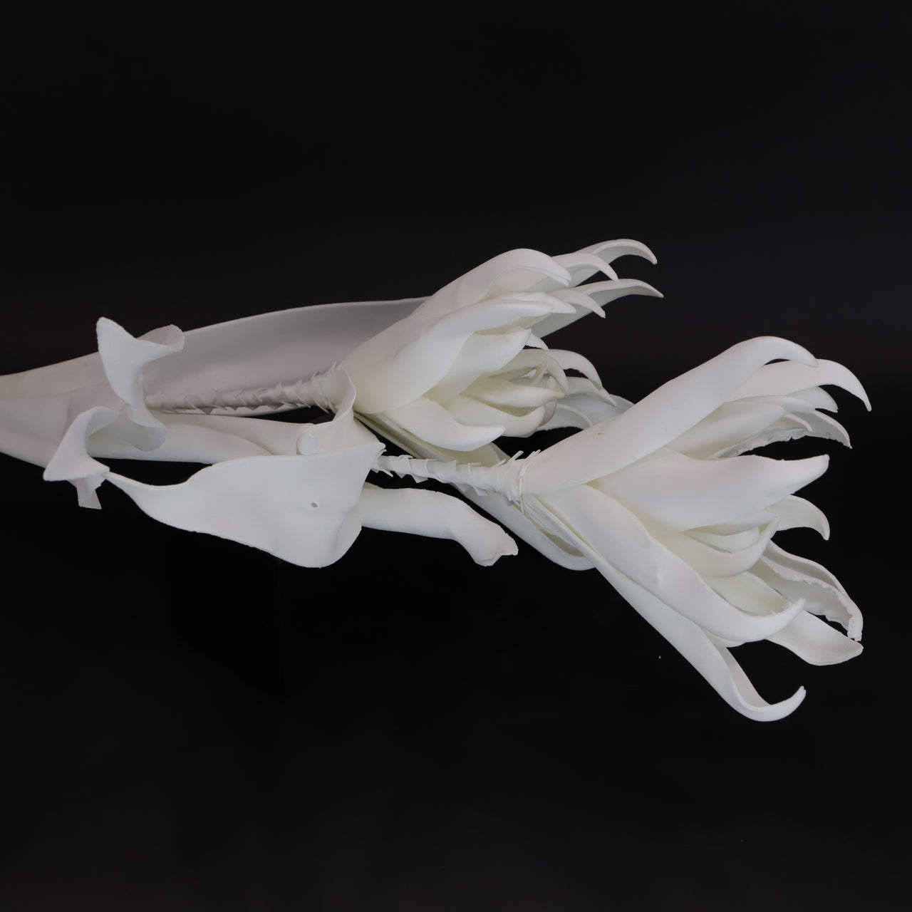 HCFL6065 - Elegant White Flower of Paradise