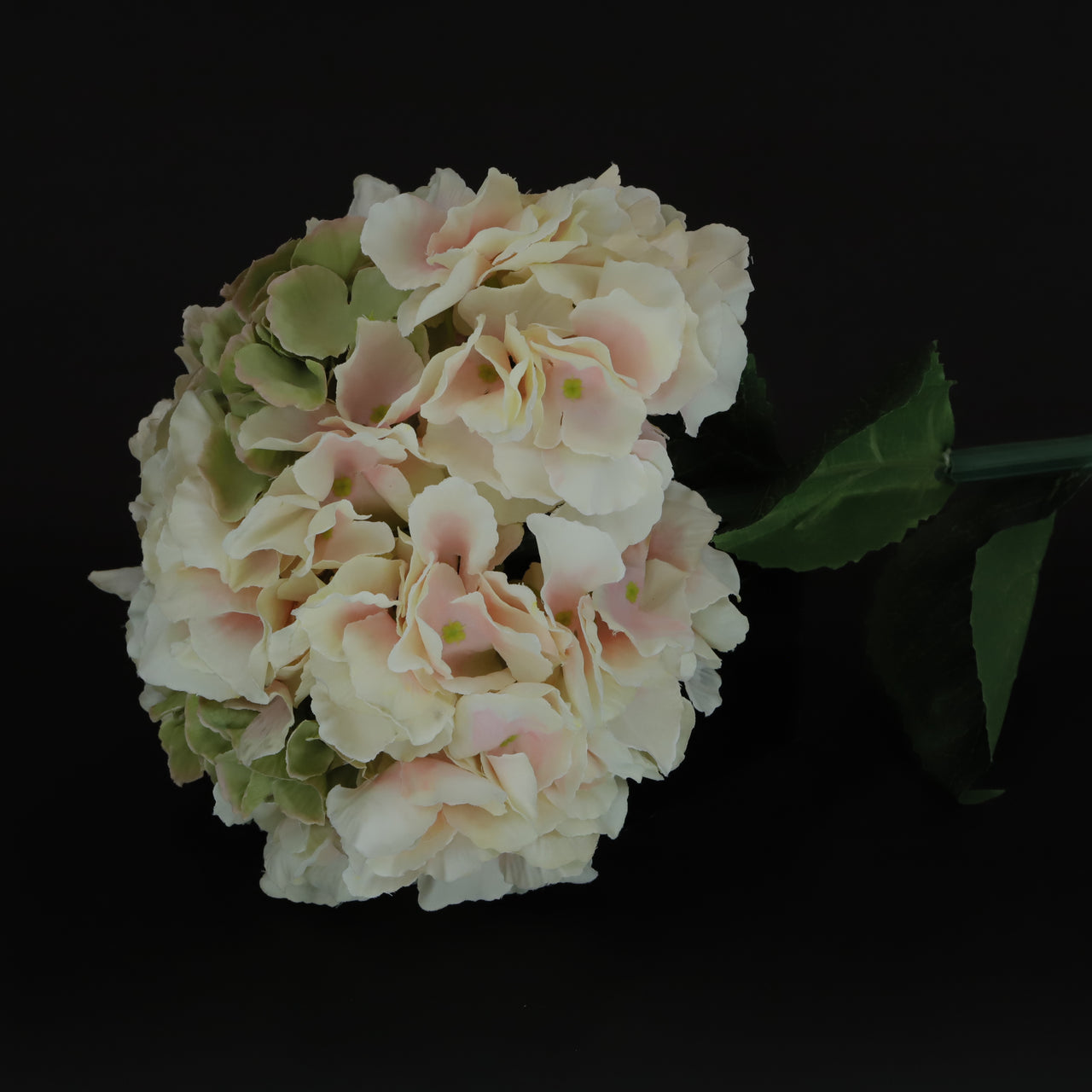HCFL6346 - Peach Long Stem Hydrangea