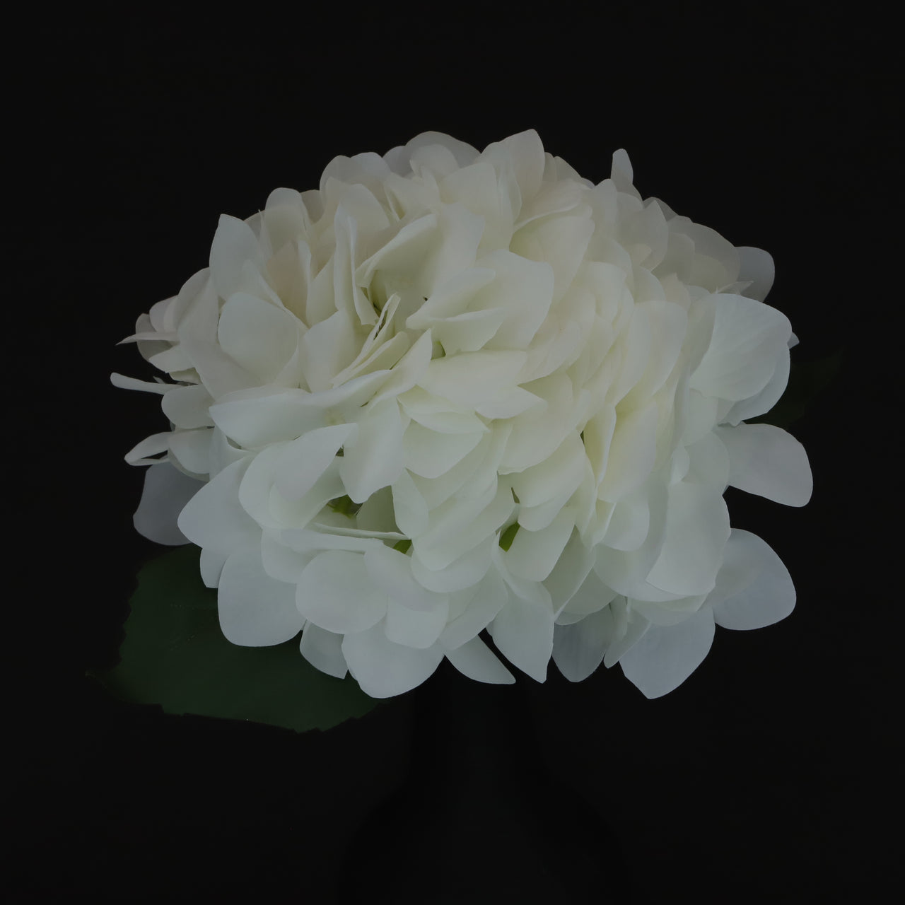 HCFL6352 - White Hydrangea Bouquet