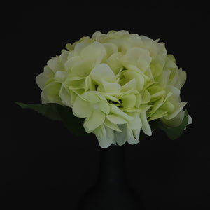 HCFL6353 - Soft Green Hydrangea Bouquet