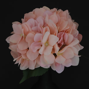 HCFL6354 - Peach Hydrangea Bouquet