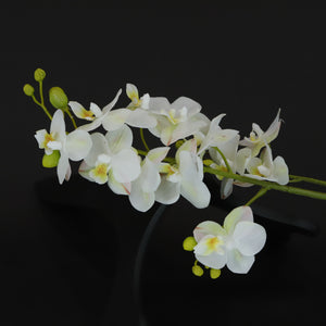 HCFL6363 - S White Long Stem Orchid