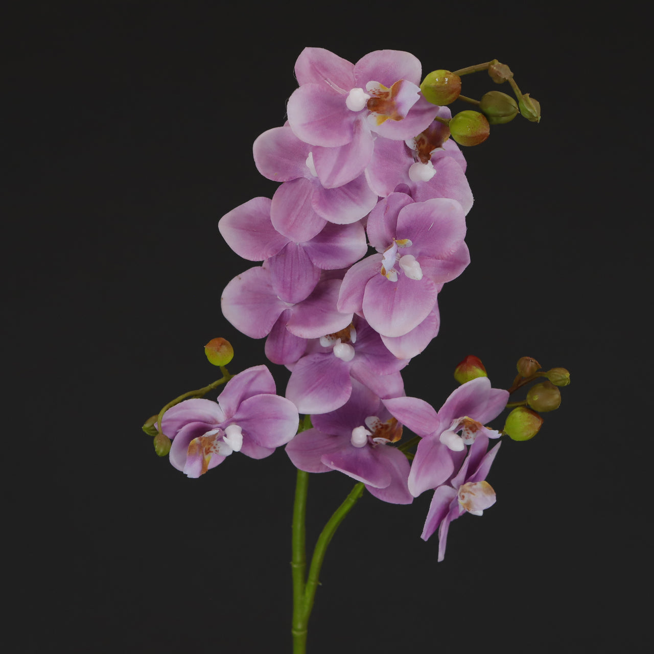 HCFL6366 - S Magenta Long Stem Orchid