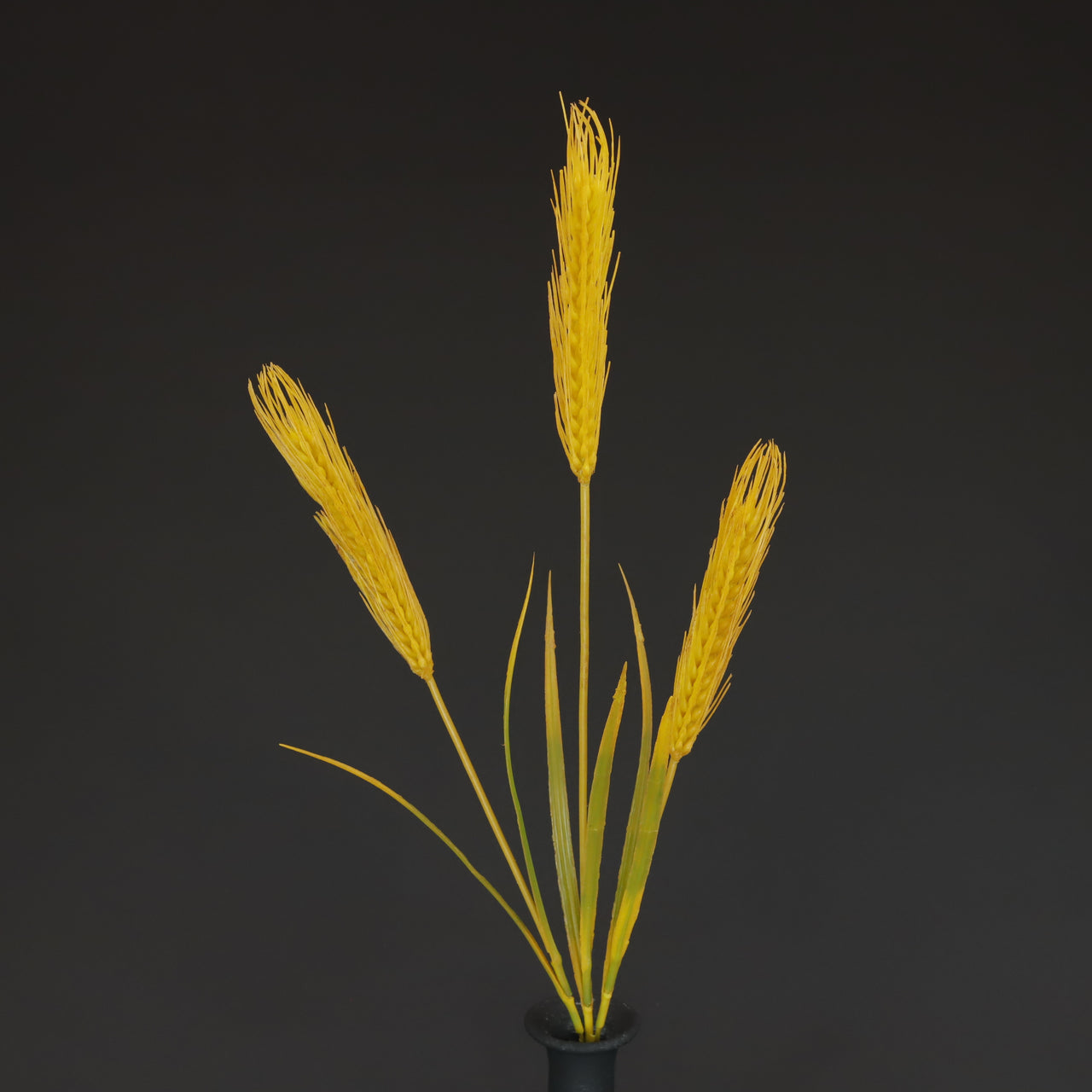 HCFL6640 - Golden Wheat